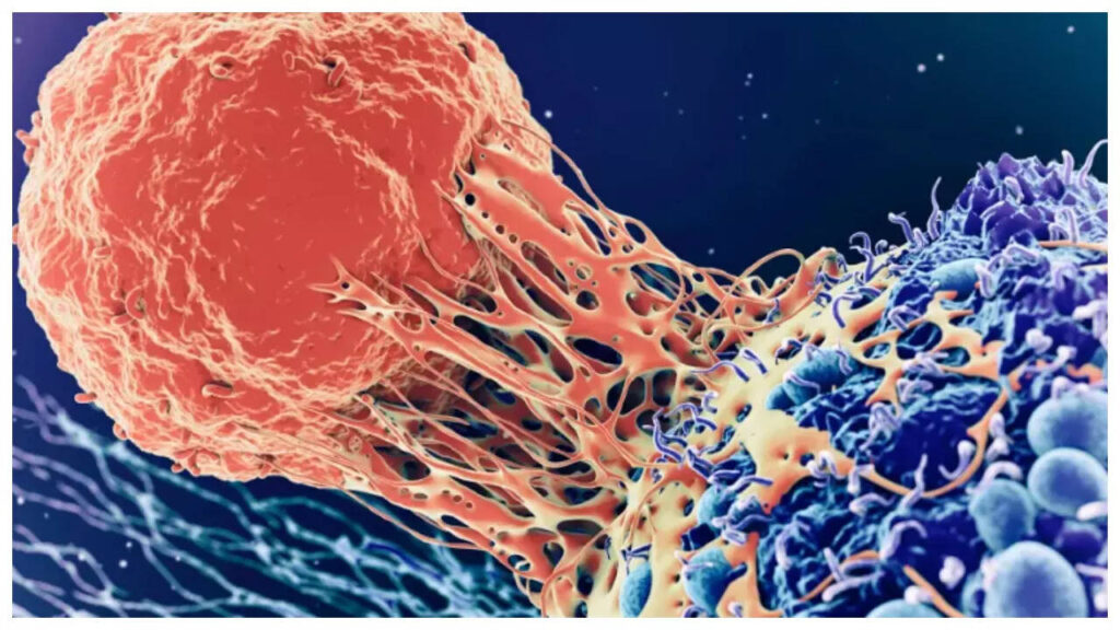 7 ways to keep Cancer away
