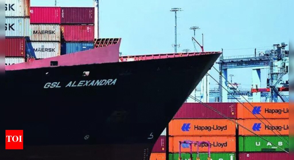 Trade worry: Sri Lankan exporters flag 30% proposed US tariff; Apparel, rubber sectors may take hit