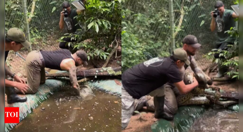 Viral: Man grabs gigantic Green Anaconda with bare hands and the internet holds its breath