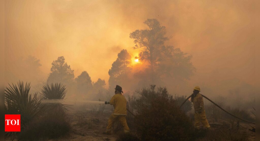 Canada wildfires burn area the size of Croatia