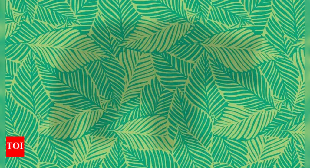 Optical illusion: Do you have sharp eyes and observation?? Find the hidden animal!!