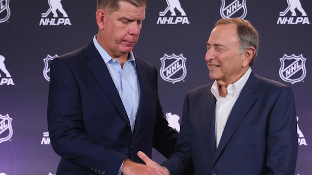 NHL, NHLPA ratify new collective bargaining agreement through 2029-30 campaign