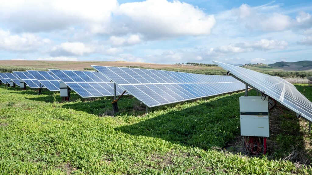 Cabinet eases investment rules for NLCIL to fast-track green energy drive
