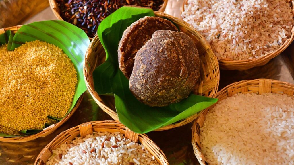 A seeds exhibition in Coimbatore showcases 100 varieties of native paddy varieties
