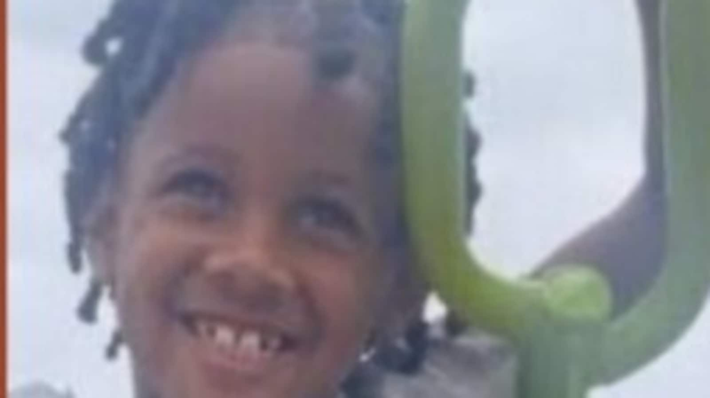 US news: 7-year-old boy Jamal White abducted at gunpoint in Milwaukee; Amber Alert issued