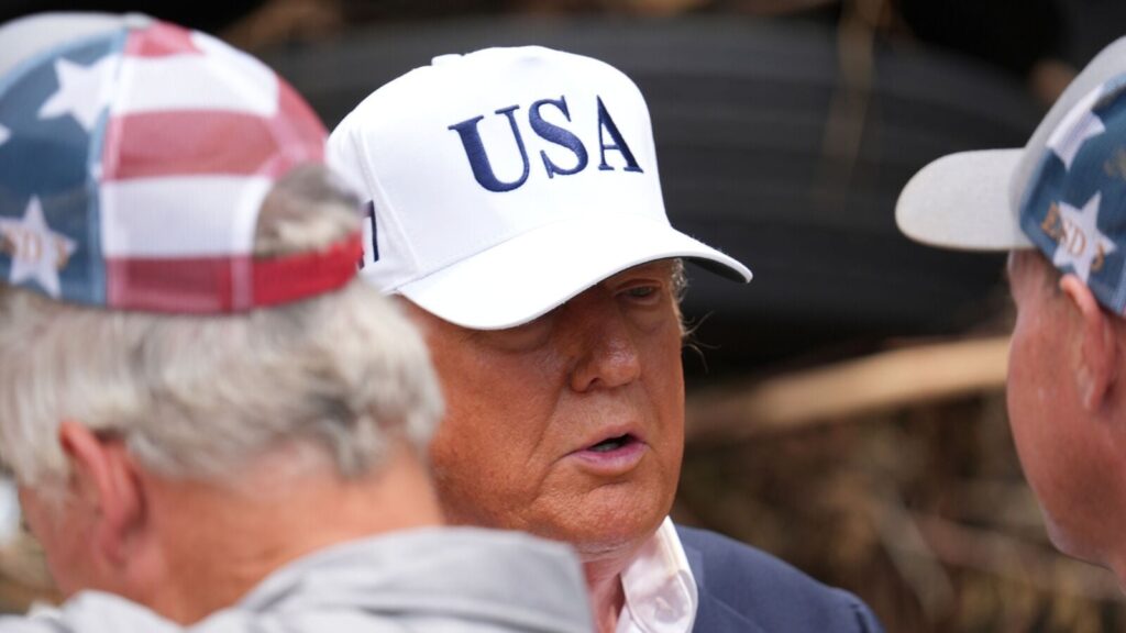 ‘Arrest these SLIMEBALLS, using whatever means is necessary’: Trump gives ICE ‘total authorisation’ to protect itself