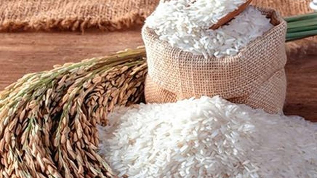 Centre allocates 5.2 mt of rice for ethanol production in 2025-26
