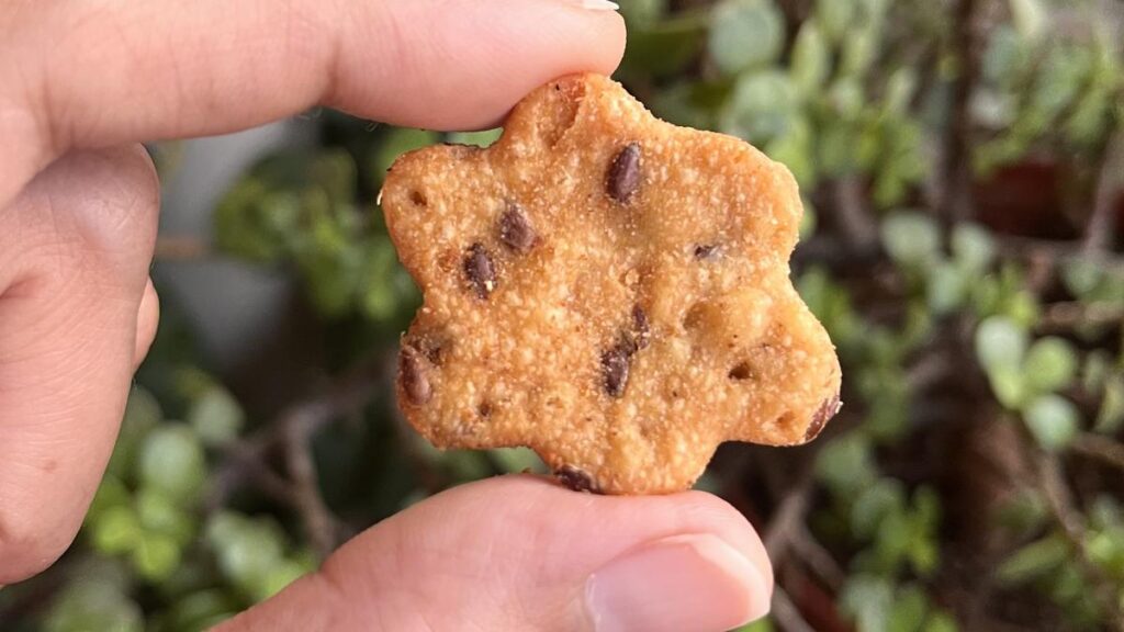 Food start-up Tocco connects home chefs from across the country with people looking for healthy snack options