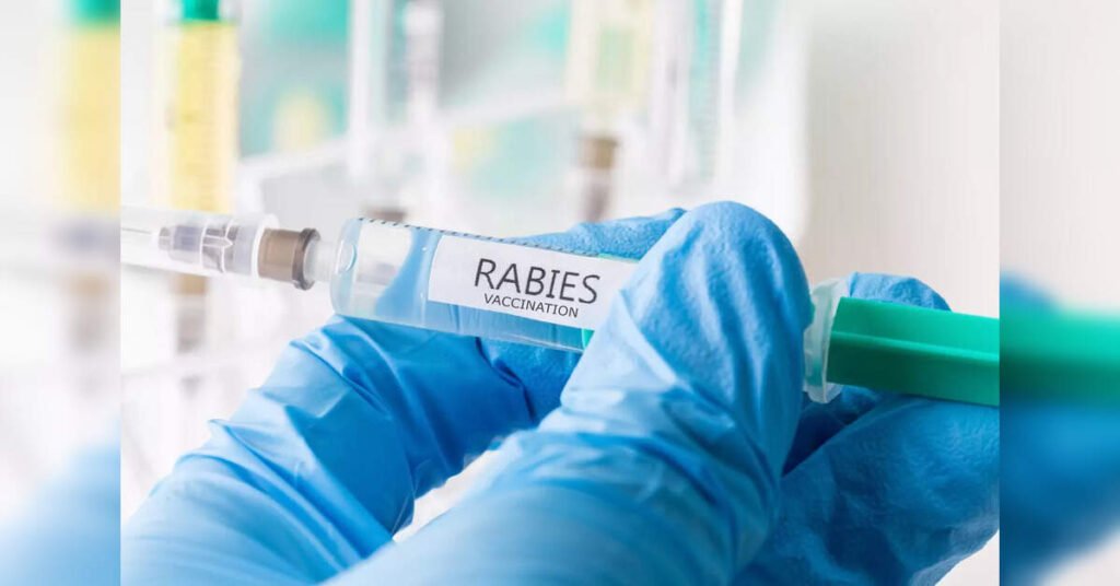 Over 37L dog bite cases, 54 human rabies deaths in 2024, ETHealthworld