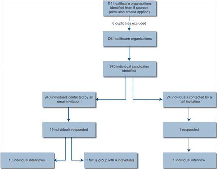 Understanding optimisation processes of electronic health records (EHRs) in select leading hospitals: a qualitative study