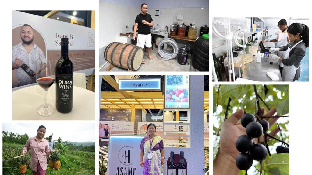 Meghalaya: Looking beyond the grape | Market demand for fruit wines and an enabling government policy is motivating small-time winemakers to go commercial
