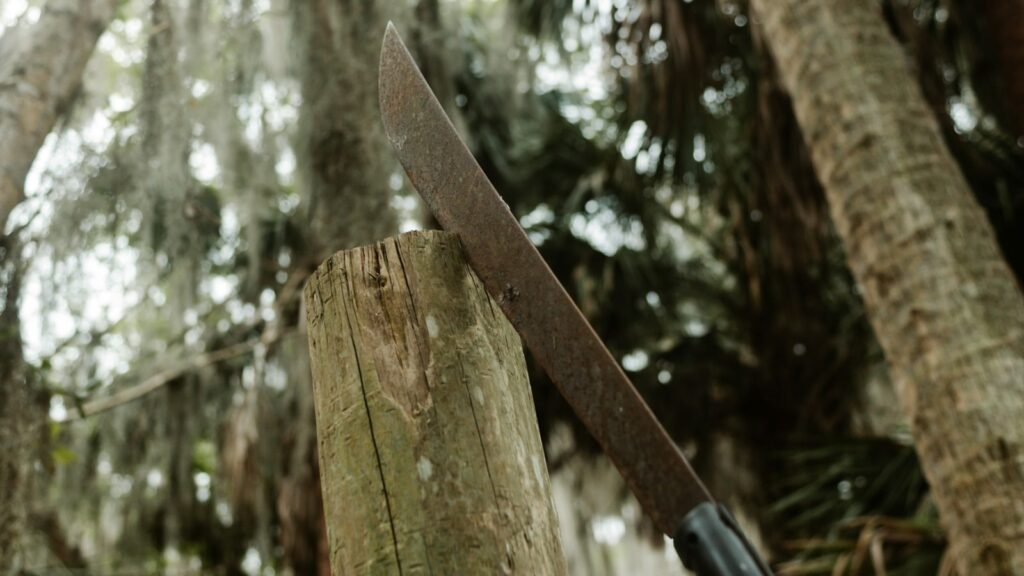 Indian man who almost lost his hand in brutal machete attack granted 2-year visa extension in Australia | Trending