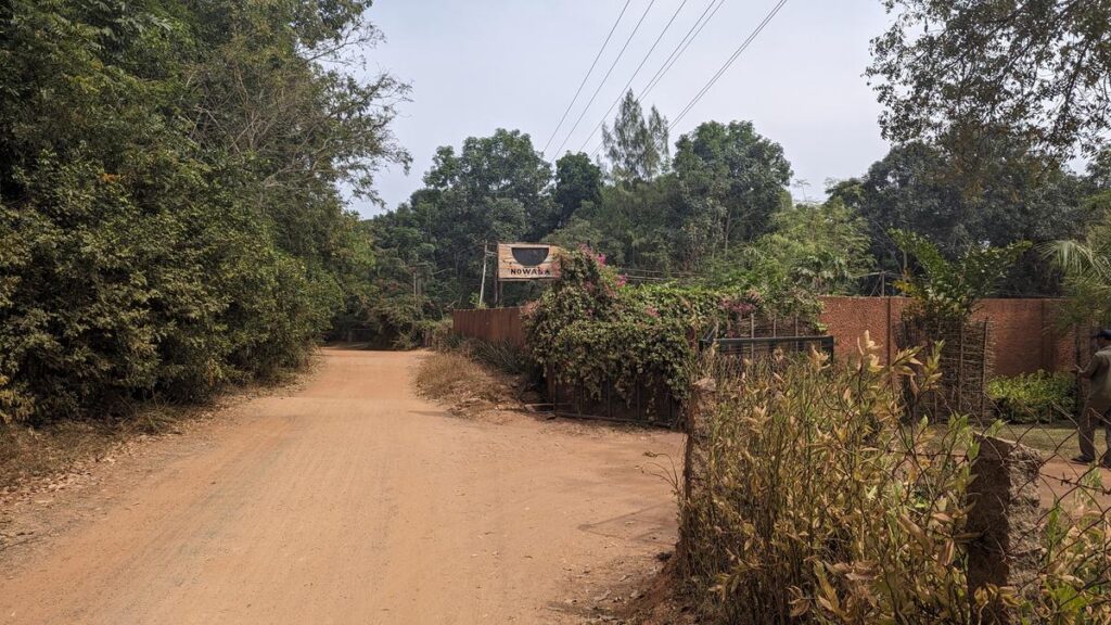 A culinary adventure in Auroville: Explore authentic Korean cuisine at Nowana