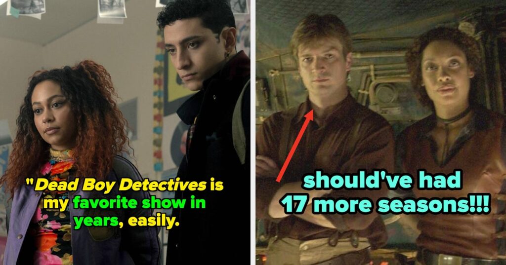 29 Best TV Shows Canceled After One Season