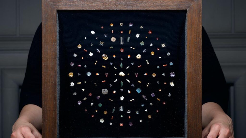 Art historian Naman Ahuja on the repatriation of the Piprahwa Buddha relics