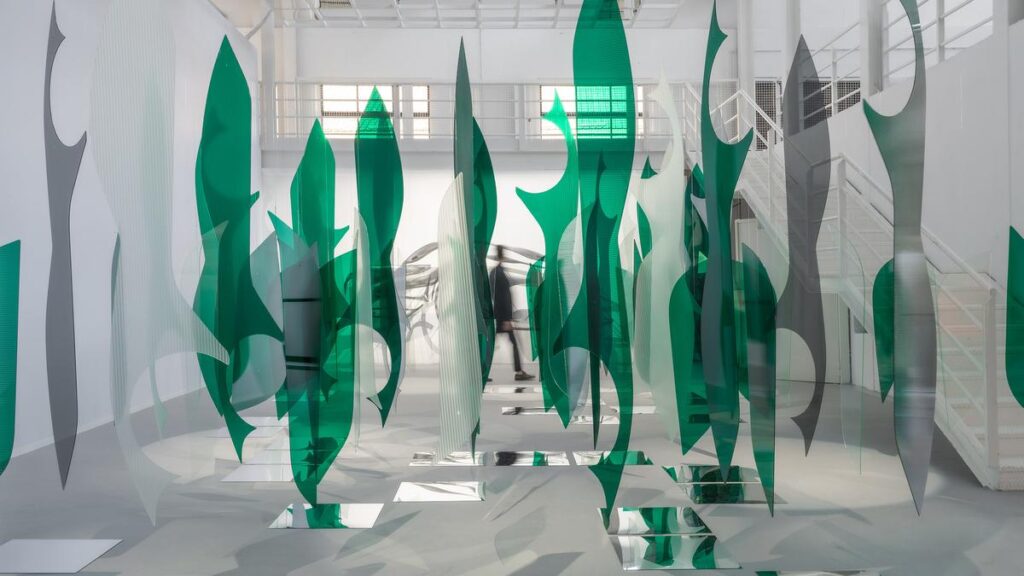 Suchi Reddy and a study in belonging