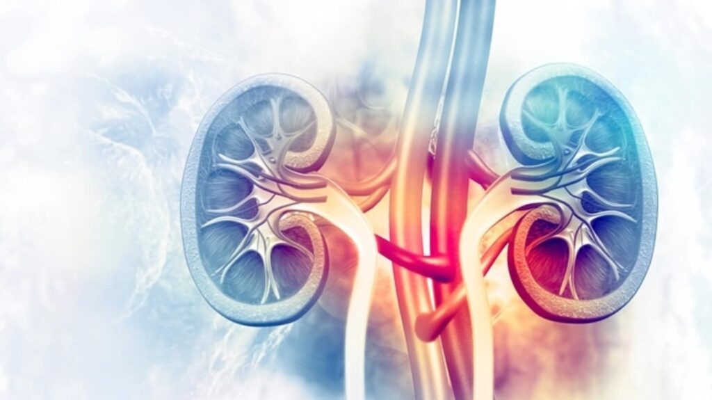 40% of diabetics suffer from silent kidney damage: Diabetologist says early screening can reduce the risk | Health