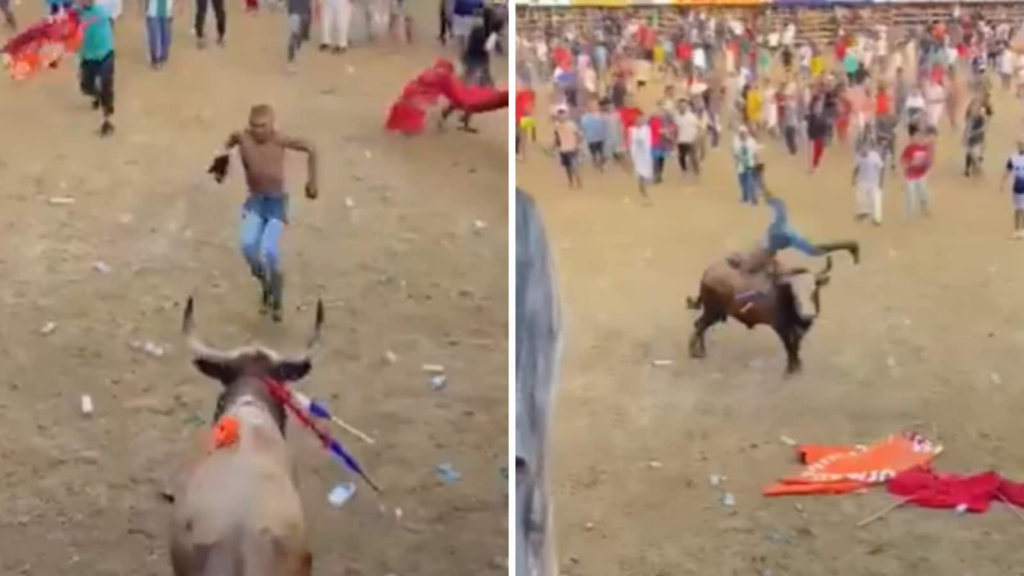 Caught on camera: Crowd watches in horror as bullfighter is killed after taunting bull | Trending