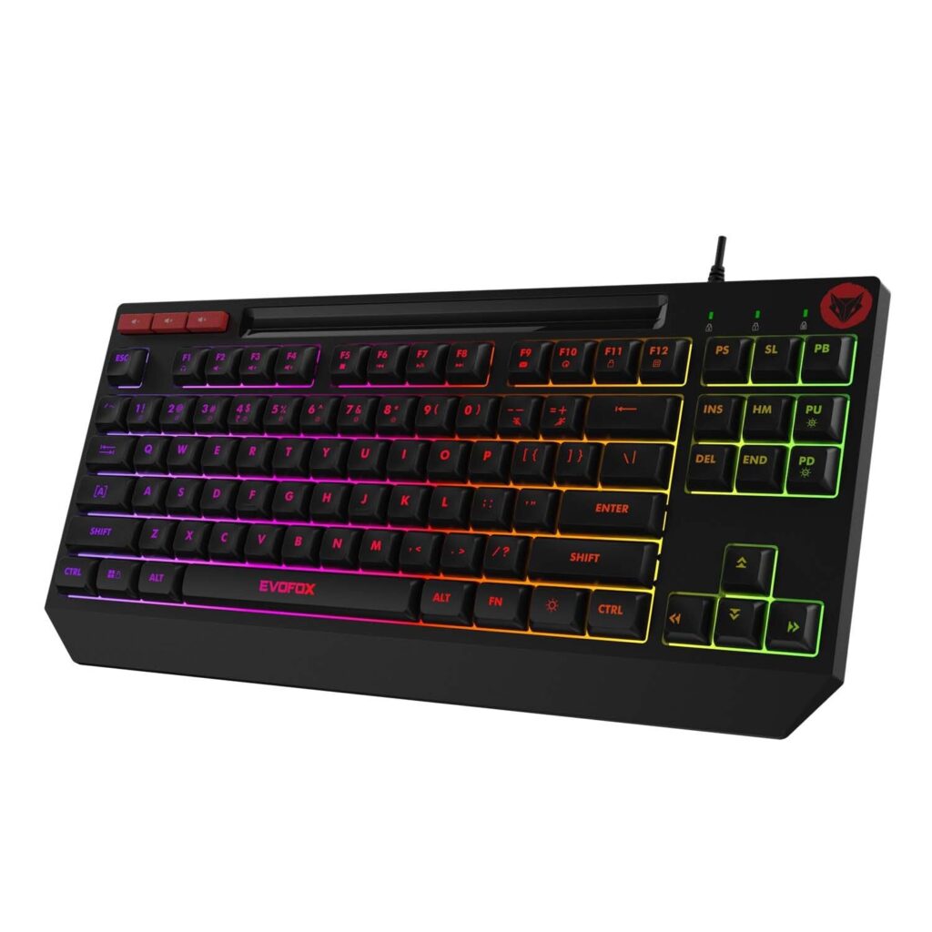 EvoFox Deathray TKL RGB Gaming Keyboard | 16 Million True Prism Colors | 7 Backlight Effects and One Custom Effect | Silent Membrane Keys | Anti Ghosting & Windows Lock Key | Braided Cable (Black)