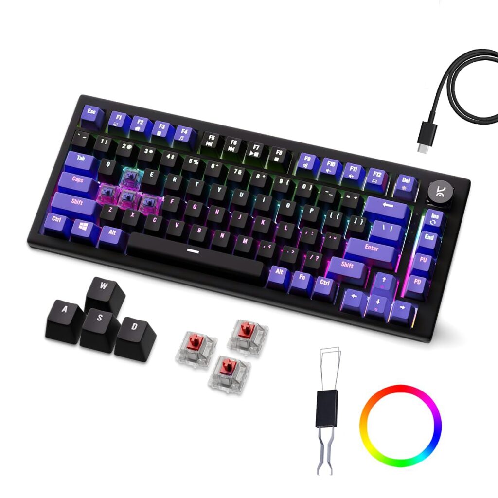 Kreo Hive RGB Anti-ghosting Gaming Keyboard | Wired Mechanical Keyboard with RGB Backlight | 5 Pin Hot-Swap | Detachable USB C Cable (Red Switch, Black-Purple)