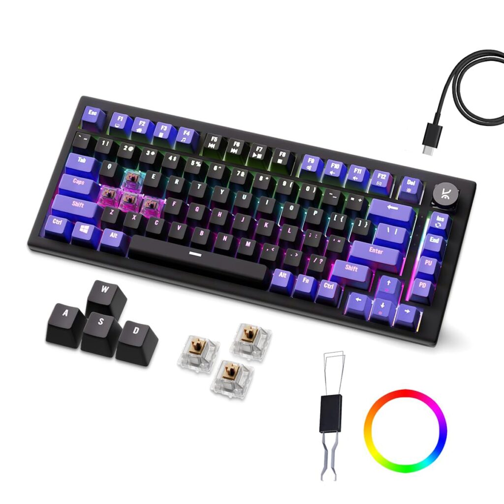 Kreo Hive RGB Anti-ghosting Gaming Keyboard | Wired Mechanical Keyboard with RGB Backlight | 5 Pin Hot-Swap | Detachable USB C Cable (Brown Switch, Black-Purple)