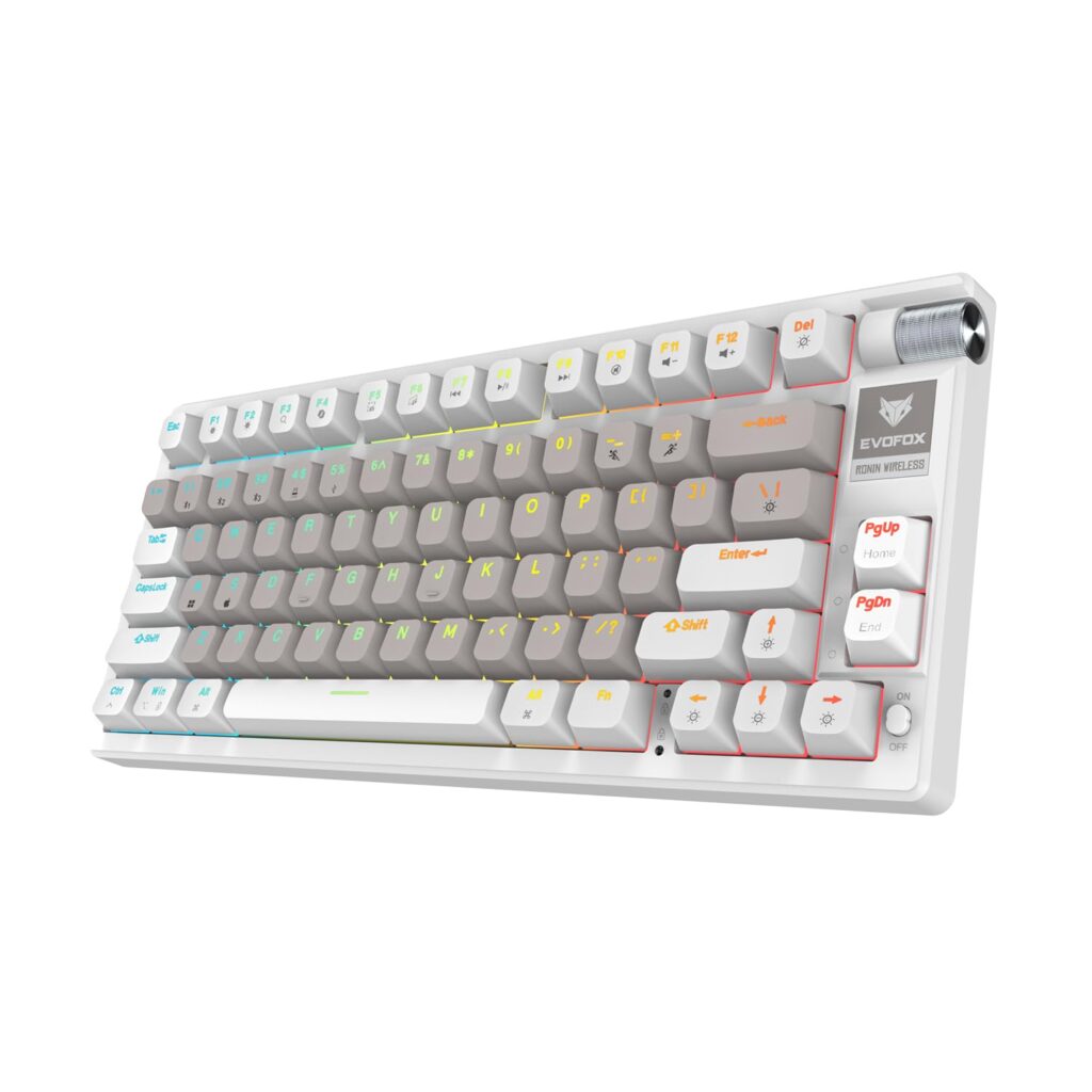 EvoFox Ronin Wireless Mechanical Keyboard (BT+2.4GHz+Wired) | 9 Layer Gasket Structure, Outemu Red Switches, Per-Key RGB, 1000Hz, nKey Rollover, Volume Controller | Windows Software (White)