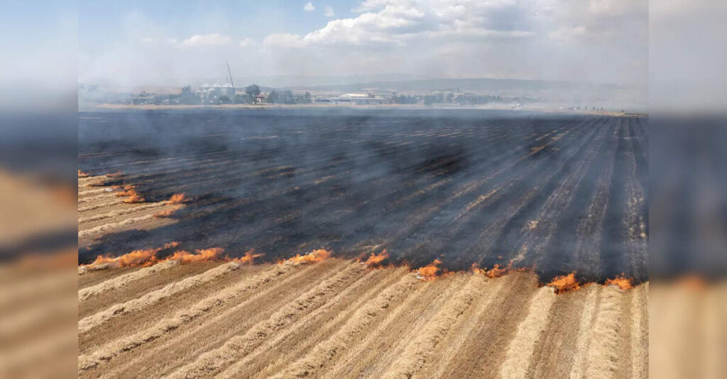 Bad air season begins in North India; Delhi’s air still clean, but experts say don’t relax, ETHealthworld