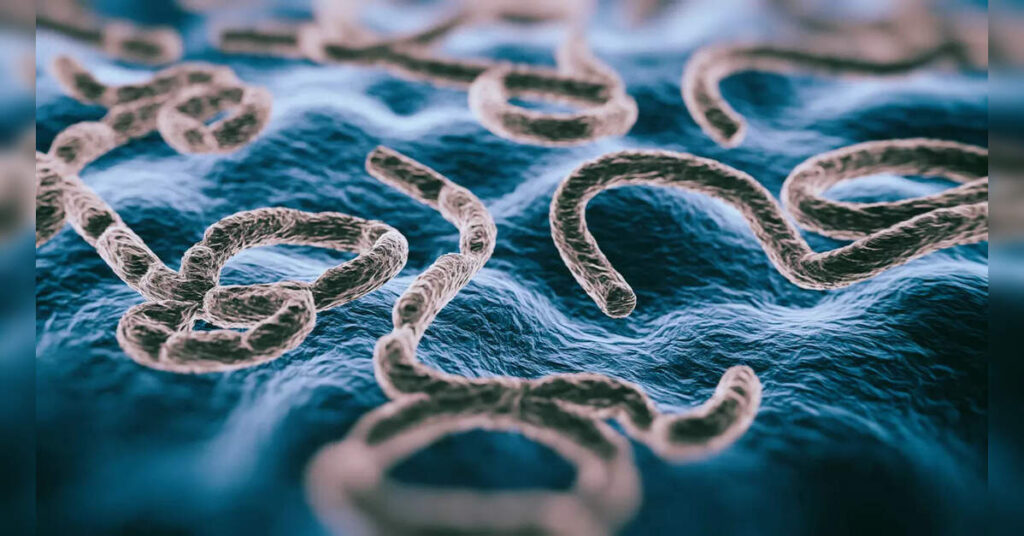 Congo's health ministry announces new Ebola outbreak, ETHealthworld