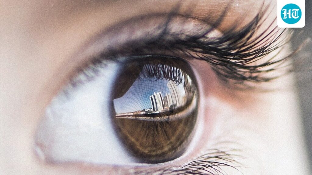 Children's eye health in the digital era - Challenges and preventive approaches