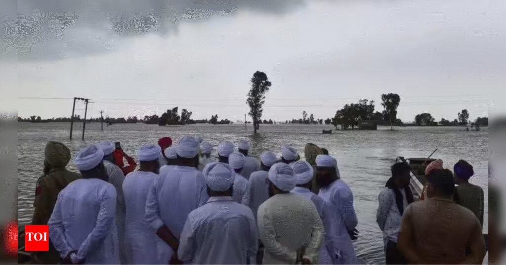 Punjab's Health Campaign Successfully Prevents Disease Outbreaks in Flood-Affected Areas, ETHealthworld