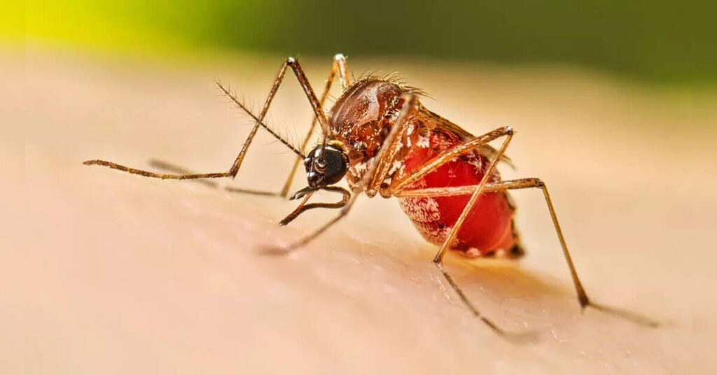Rise in dengue, H1N1 cases in A’bad amid weather fluctuations, ETHealthworld