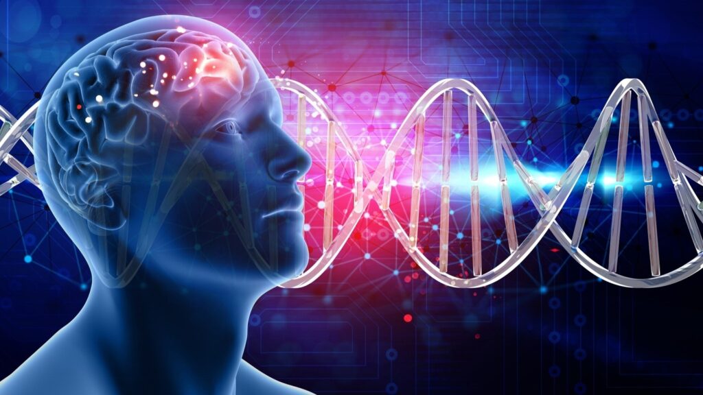 Neurosurgeon with 25 years of experience shares 4 common habits slowly damaging your brain: ‘Diets high in sugars and…’