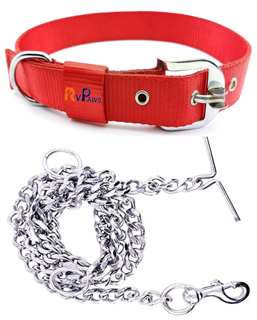 RvPaws Dog Belt Combo of 1 Inch Nylon Collar with Heavy Dog Chain 63 Inch Lengthy Dog Collar Chain (Red)
