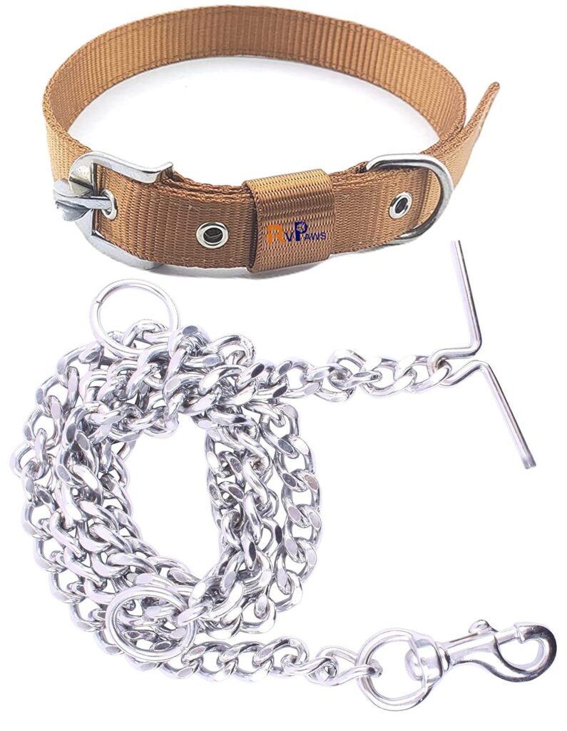 RvPaws Combo Nylon Dog Belt - 1 Inch Collar with Heavy Dog Chain 63 Inch Lengthy Dog Collar Chain Adjustable (Collar Neck Size 16-20 Inch) (Golden)