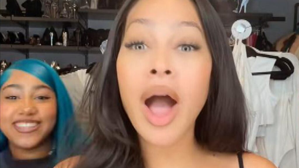 North West Can't Stop Interrupting La La Anthony's TikTok Live
