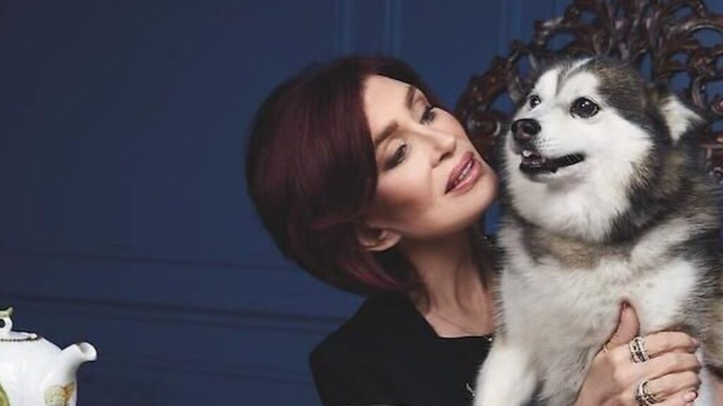Sharon Osbourne mourns dog Elvis months after Ozzy's death from heart attack, ‘He was by my side until the end’