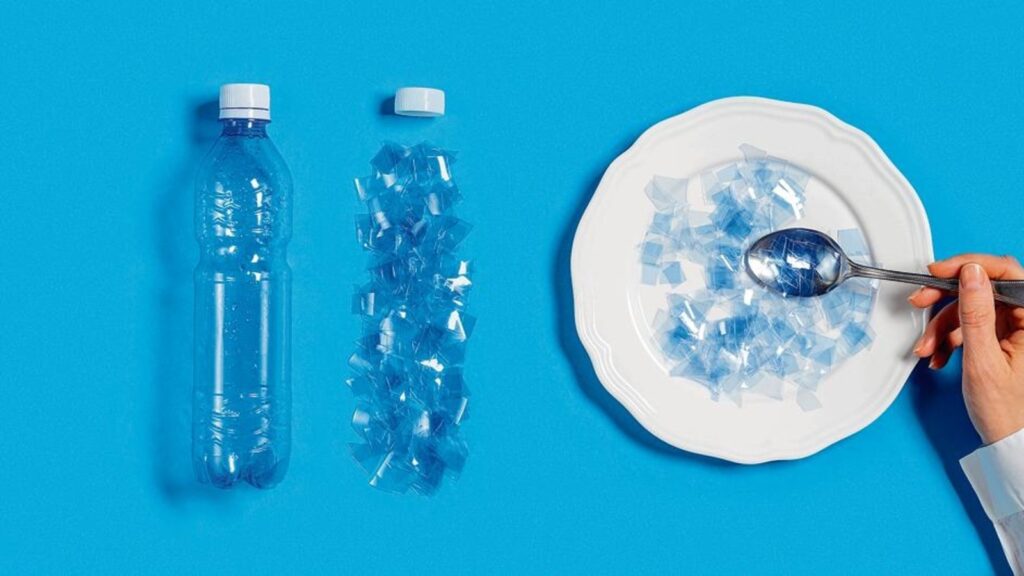 Cheese lovers beware! Study finds microplastics in dairy products, find out which types are the most risky