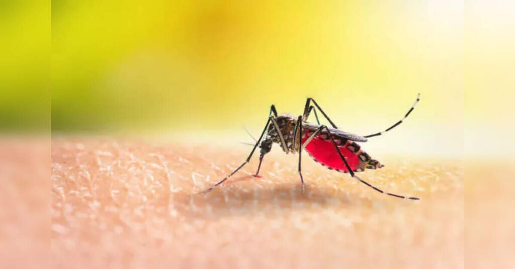 Dengue cases in Raj rise by 22% in 11 days, ETHealthworld