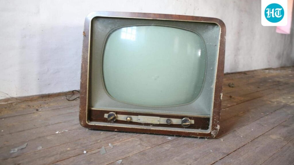 Anita Hassanandani wins 'Chhoriyan Chali Gaon'