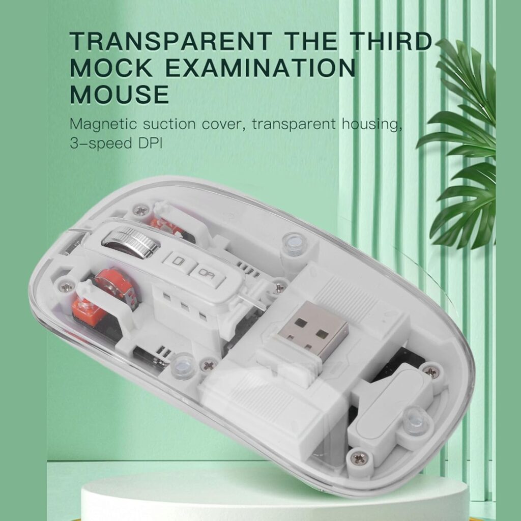 Bluetooth Wireless Mouse Tri-Mode (Dual BT5.1+2.4GHz) USB C Rechargeable Computer Mouse Full Transparent Silent Mouse with USB Receiver & Type C Cable for Laptop Desktop (White)