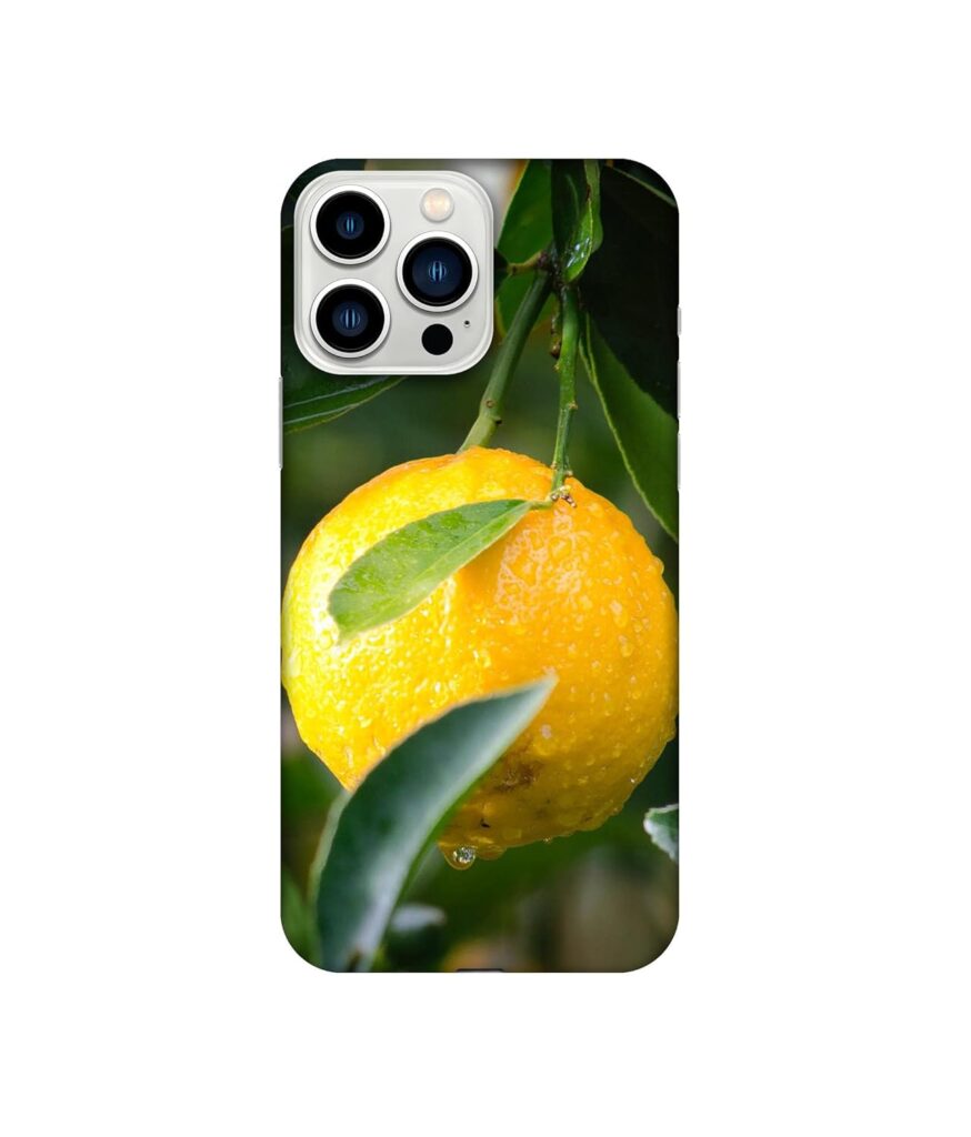 Amazon Brand - Solimo Designer Lemon 3D Printed Hard Back Case Mobile Cover for Apple iPhone 13 Pro Max (Plastic_Multicolor)